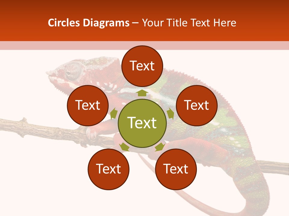 Dragoon Animal Camuelueontidues PowerPoint Template