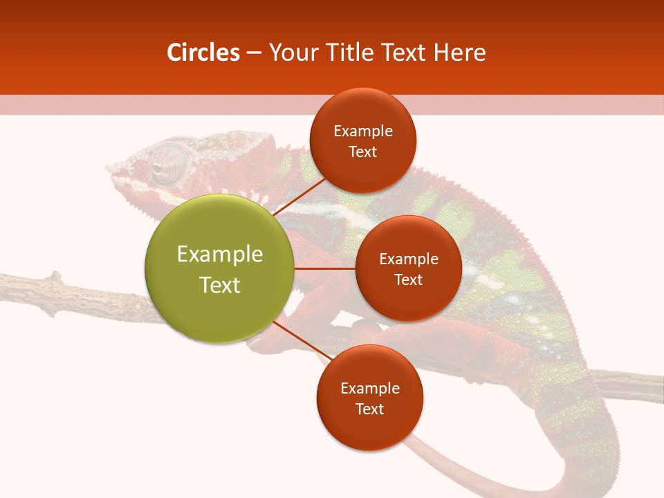 Dragoon Animal Camuelueontidues PowerPoint Template