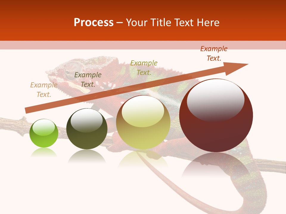 Dragoon Animal Camuelueontidues PowerPoint Template