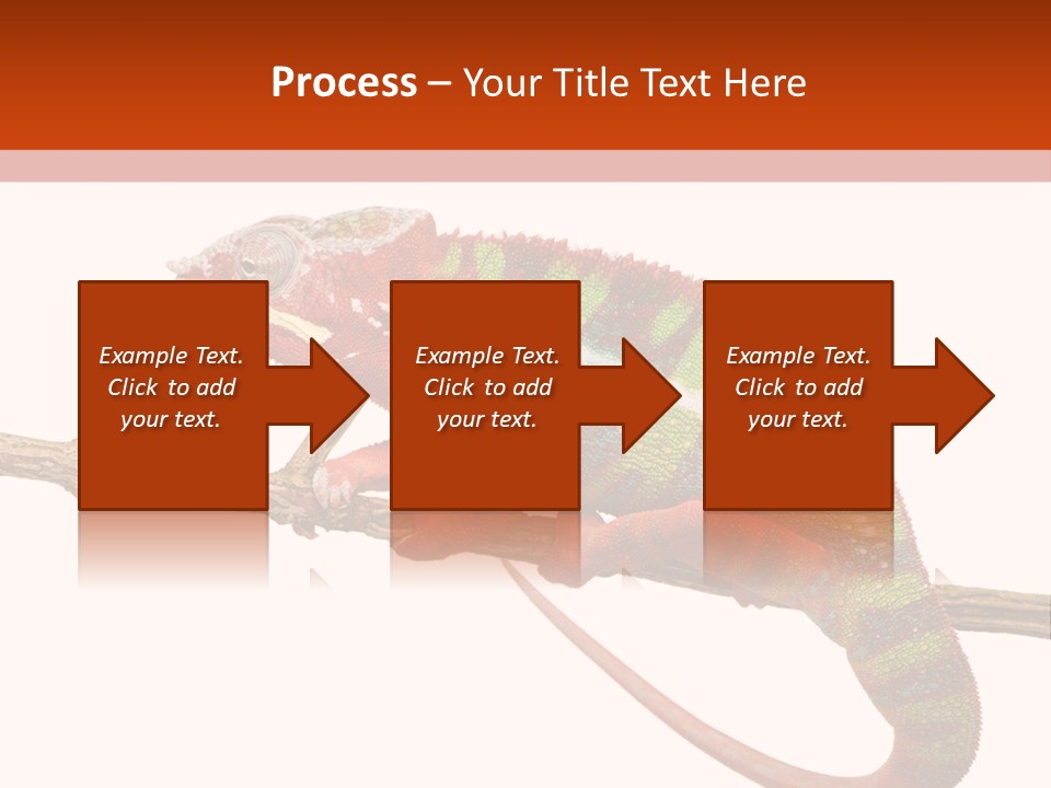 Dragoon Animal Camuelueontidues PowerPoint Template