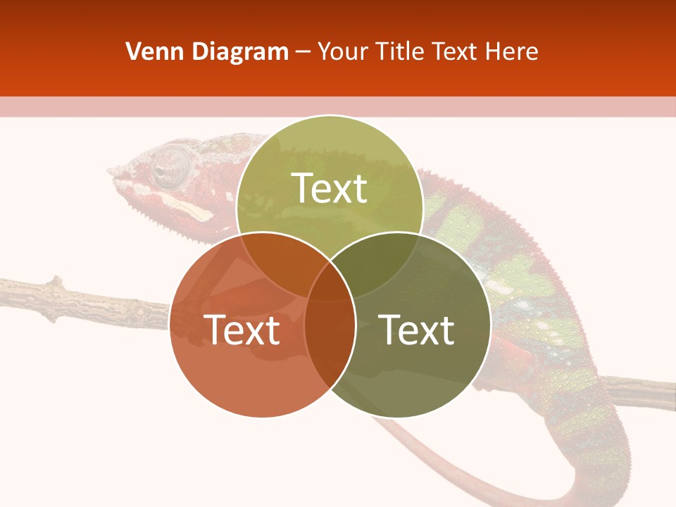 Dragoon Animal Camuelueontidues PowerPoint Template