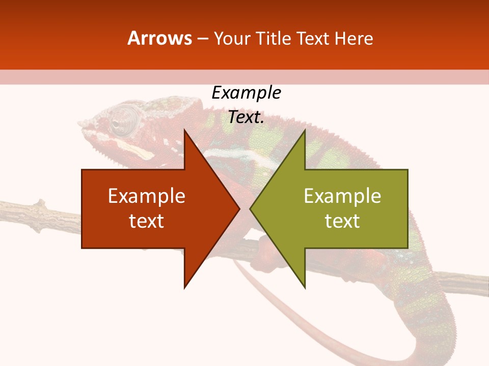 Dragoon Animal Camuelueontidues PowerPoint Template