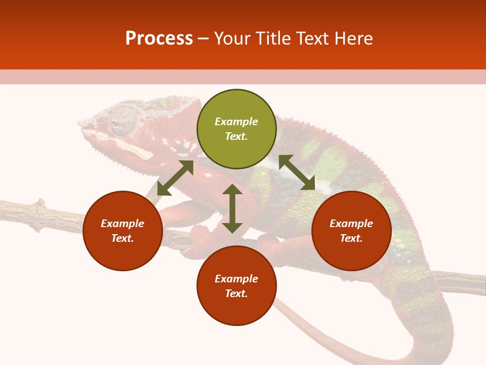 Dragoon Animal Camuelueontidues PowerPoint Template