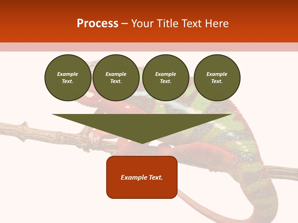 Dragoon Animal Camuelueontidues PowerPoint Template