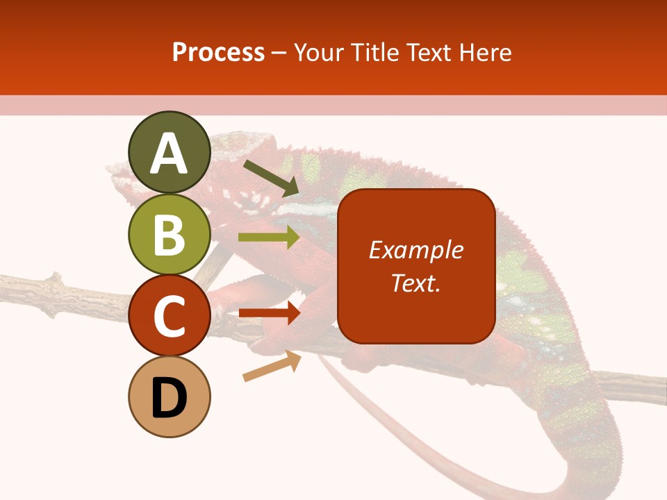 Dragoon Animal Camuelueontidues PowerPoint Template