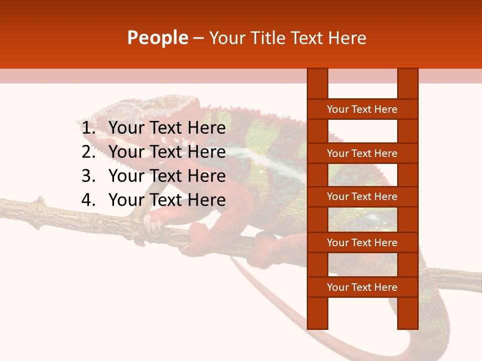 Dragoon Animal Camuelueontidues PowerPoint Template