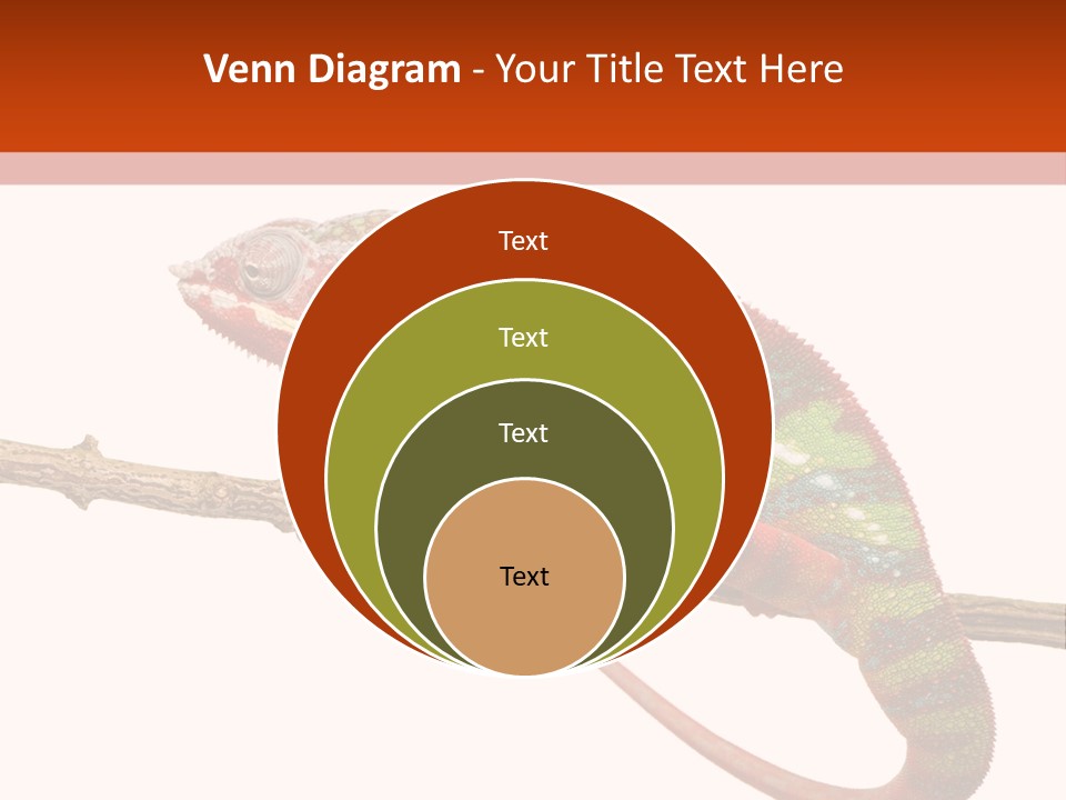 Dragoon Animal Camuelueontidues PowerPoint Template