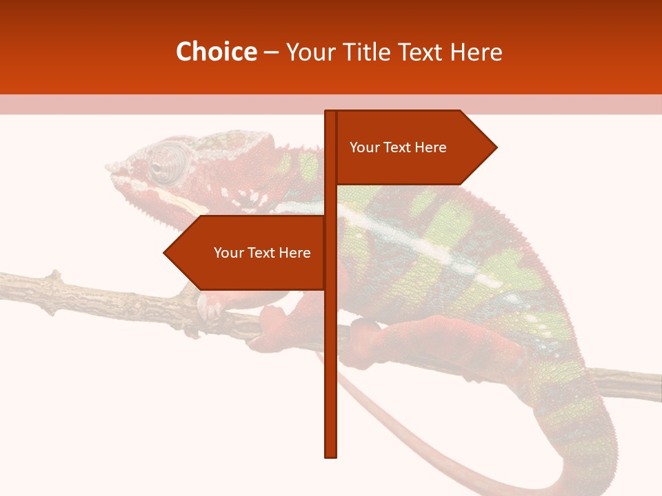 Dragoon Animal Camuelueontidues PowerPoint Template