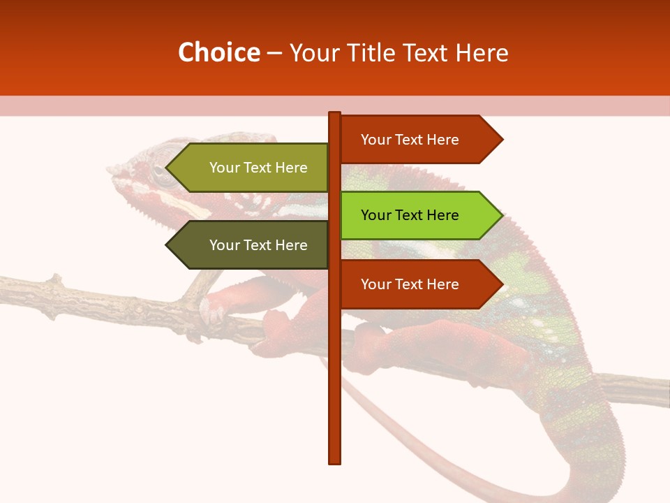 Dragoon Animal Camuelueontidues PowerPoint Template