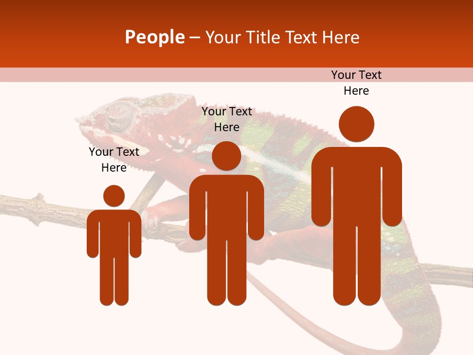 Dragoon Animal Camuelueontidues PowerPoint Template