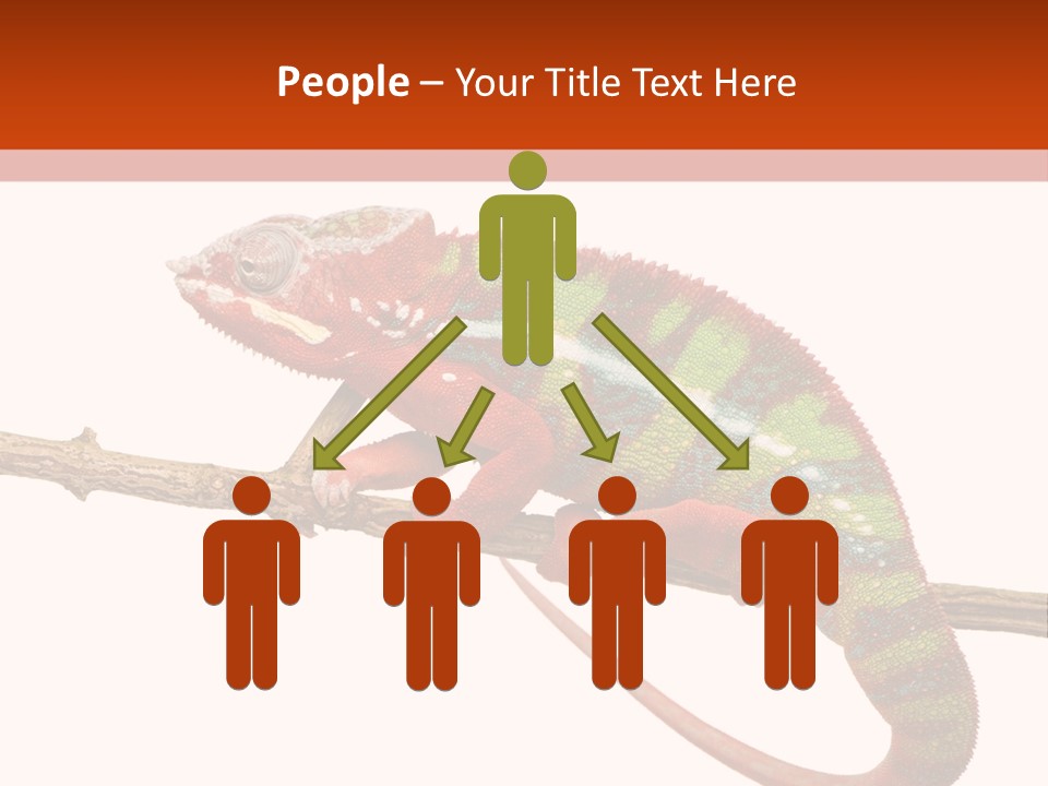 Dragoon Animal Camuelueontidues PowerPoint Template