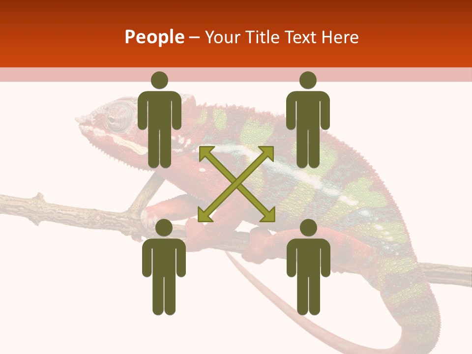 Dragoon Animal Camuelueontidues PowerPoint Template