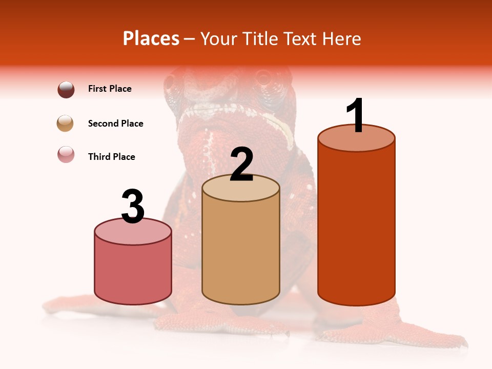 Endangered Chameleon Furcifer Pardalis Gazing PowerPoint Template