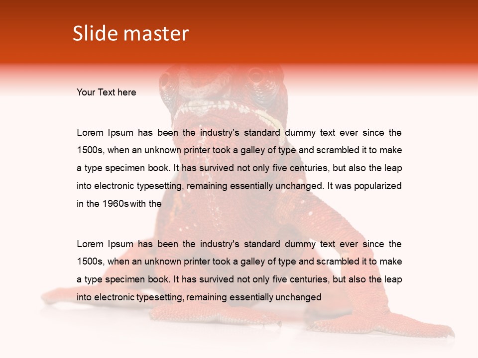 Endangered Chameleon Furcifer Pardalis Gazing PowerPoint Template