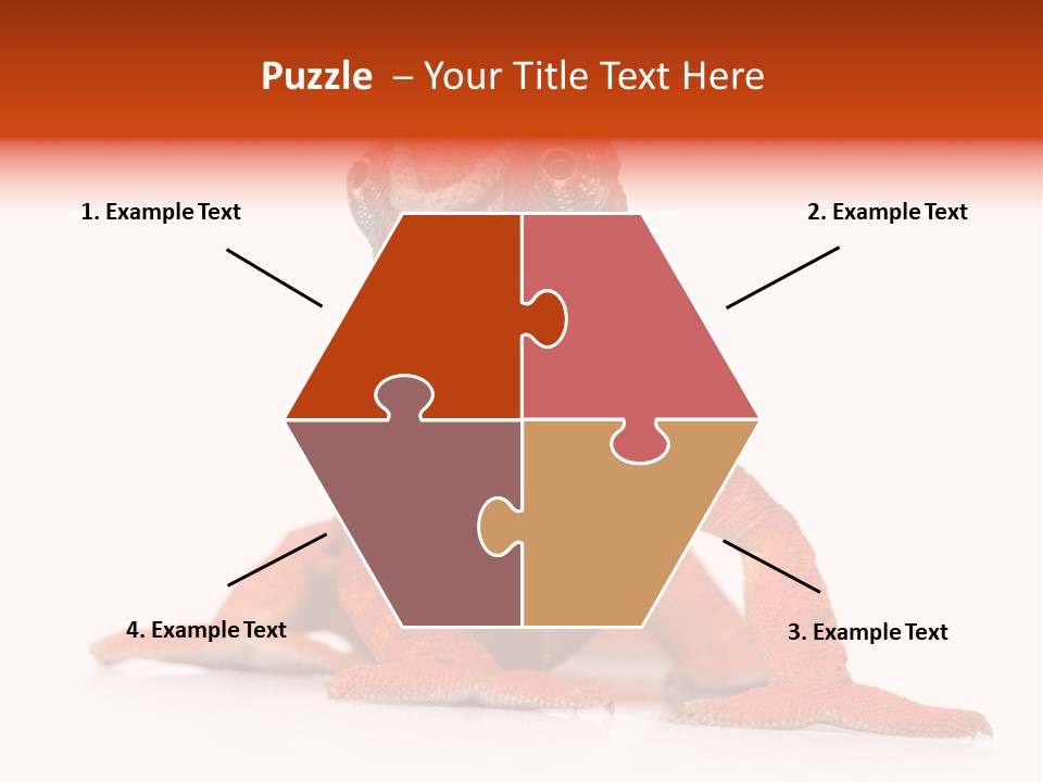 Endangered Chameleon Furcifer Pardalis Gazing PowerPoint Template