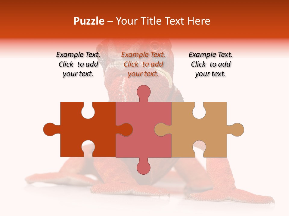 Endangered Chameleon Furcifer Pardalis Gazing PowerPoint Template