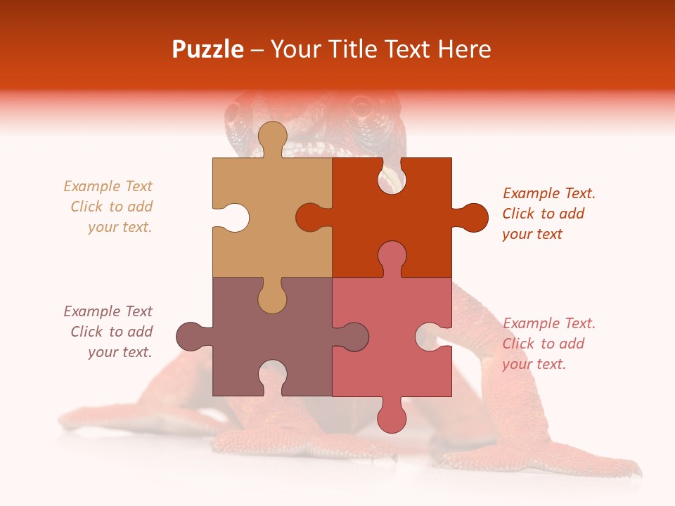 Endangered Chameleon Furcifer Pardalis Gazing PowerPoint Template