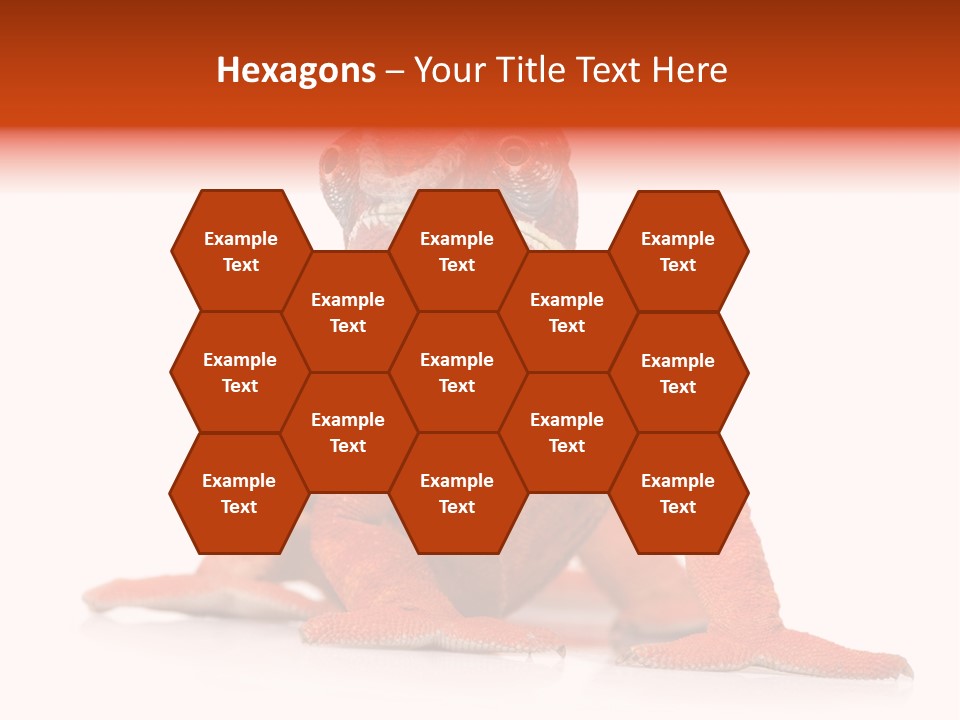 Endangered Chameleon Furcifer Pardalis Gazing PowerPoint Template