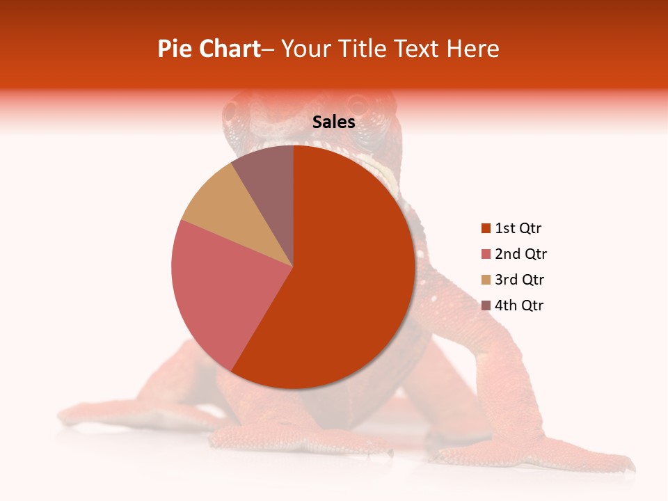 Endangered Chameleon Furcifer Pardalis Gazing PowerPoint Template