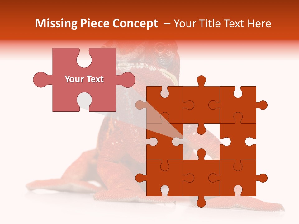 Endangered Chameleon Furcifer Pardalis Gazing PowerPoint Template