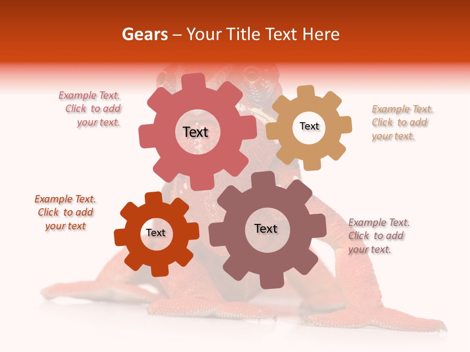 Endangered Chameleon Furcifer Pardalis Gazing PowerPoint Template