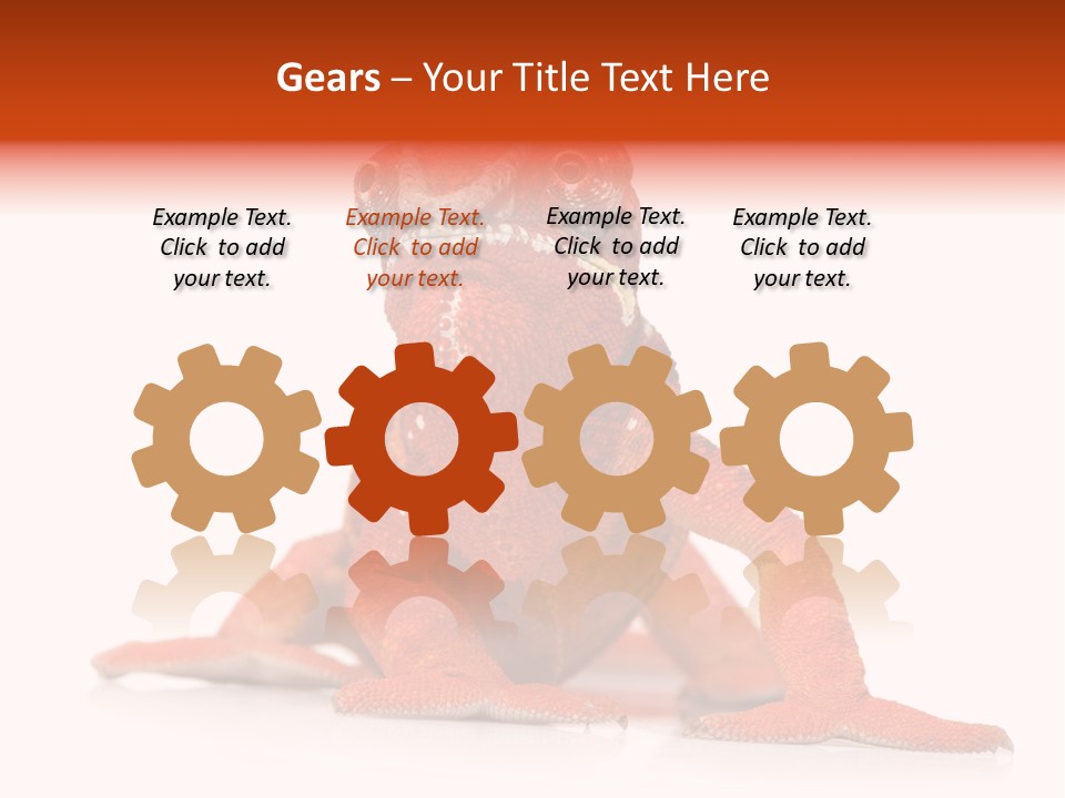 Endangered Chameleon Furcifer Pardalis Gazing PowerPoint Template