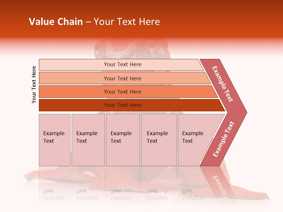 Endangered Chameleon Furcifer Pardalis Gazing PowerPoint Template