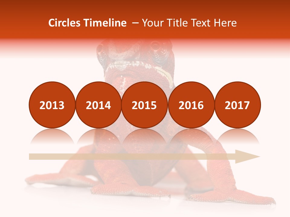 Endangered Chameleon Furcifer Pardalis Gazing PowerPoint Template