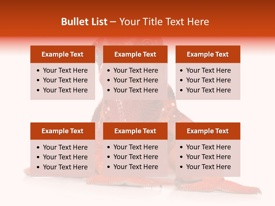 Endangered Chameleon Furcifer Pardalis Gazing PowerPoint Template