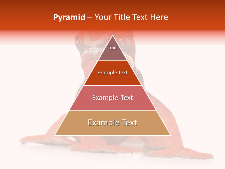 Endangered Chameleon Furcifer Pardalis Gazing PowerPoint Template