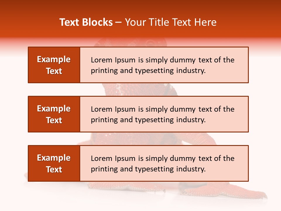 Endangered Chameleon Furcifer Pardalis Gazing PowerPoint Template