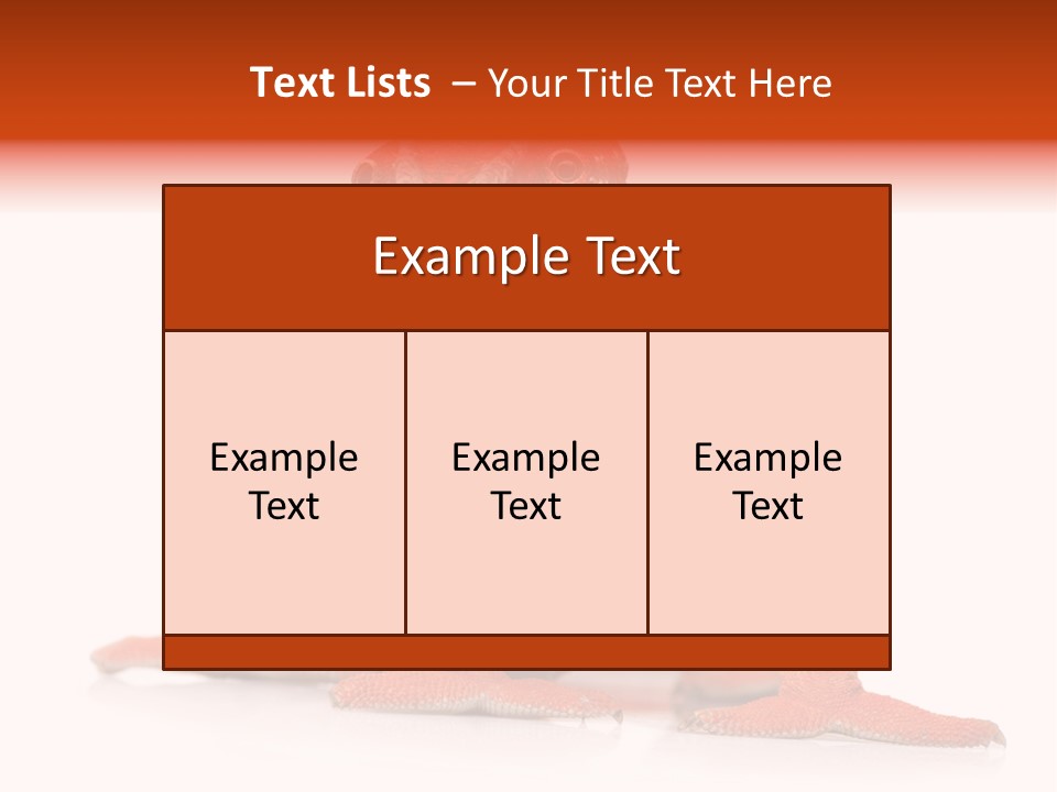 Endangered Chameleon Furcifer Pardalis Gazing PowerPoint Template