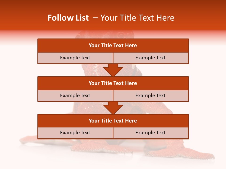 Endangered Chameleon Furcifer Pardalis Gazing PowerPoint Template