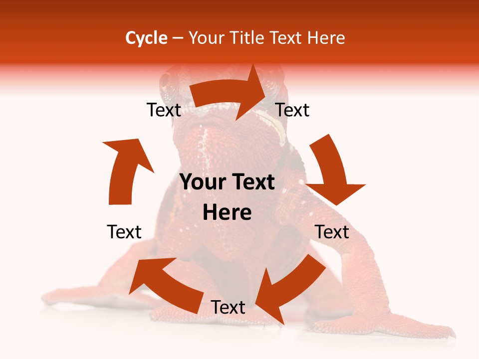 Endangered Chameleon Furcifer Pardalis Gazing PowerPoint Template