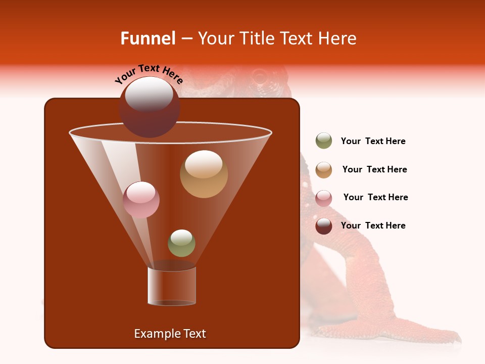 Endangered Chameleon Furcifer Pardalis Gazing PowerPoint Template