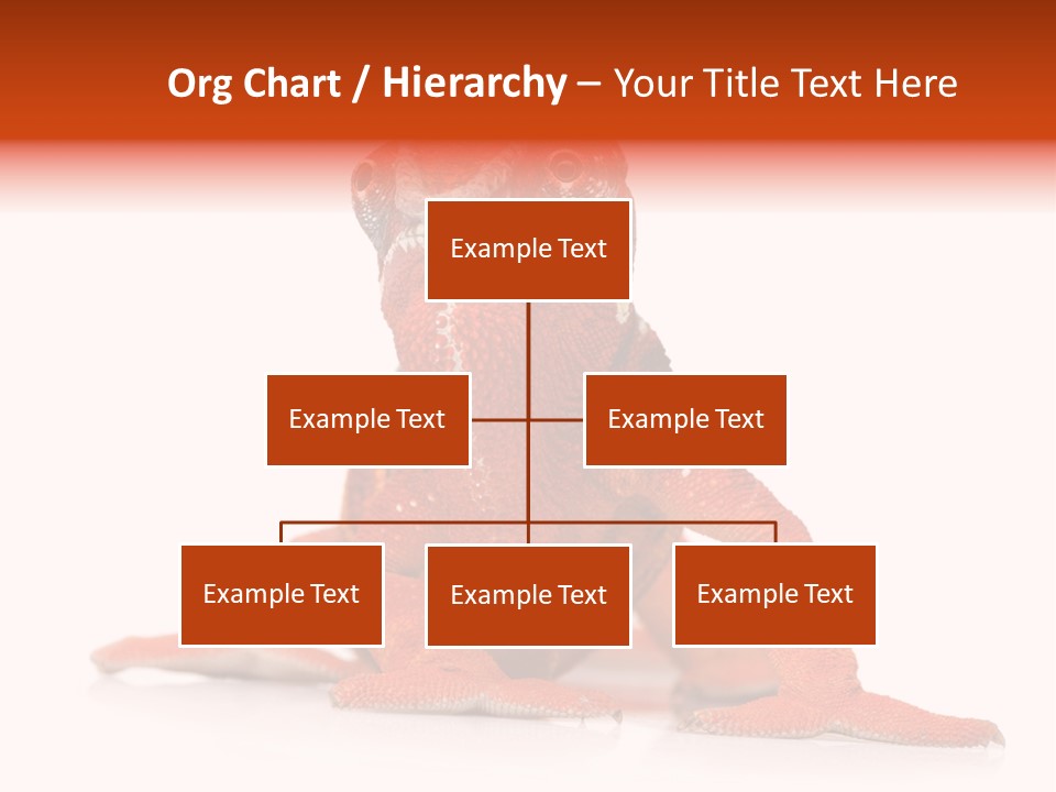 Endangered Chameleon Furcifer Pardalis Gazing PowerPoint Template