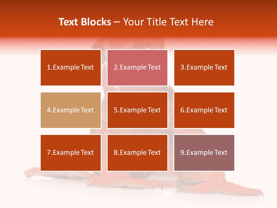 Endangered Chameleon Furcifer Pardalis Gazing PowerPoint Template