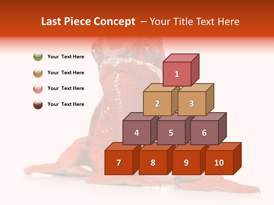 Endangered Chameleon Furcifer Pardalis Gazing PowerPoint Template