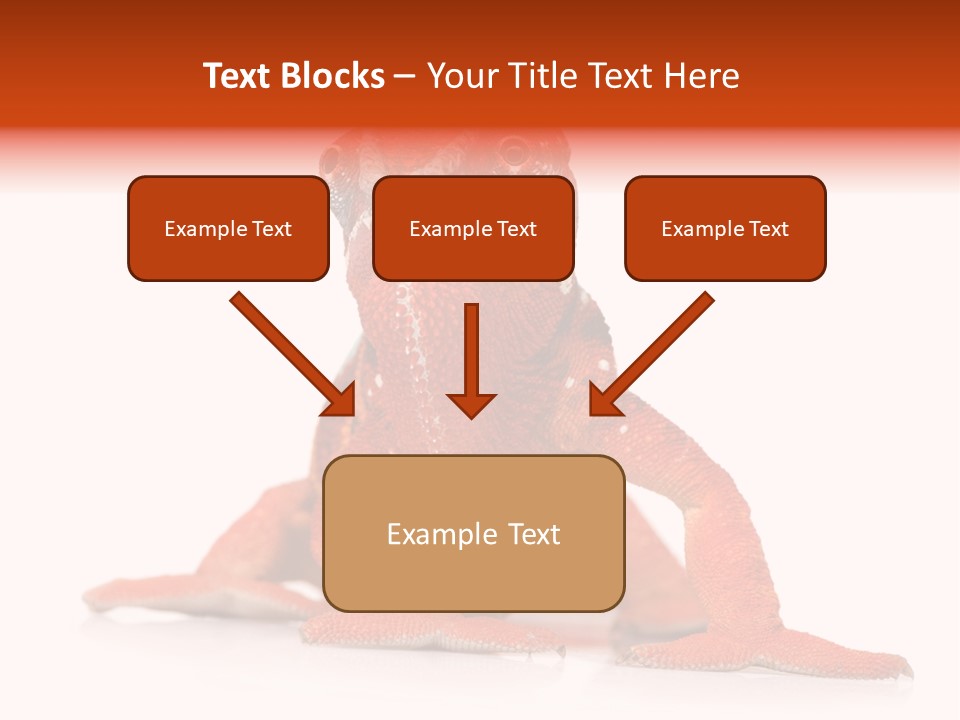 Endangered Chameleon Furcifer Pardalis Gazing PowerPoint Template
