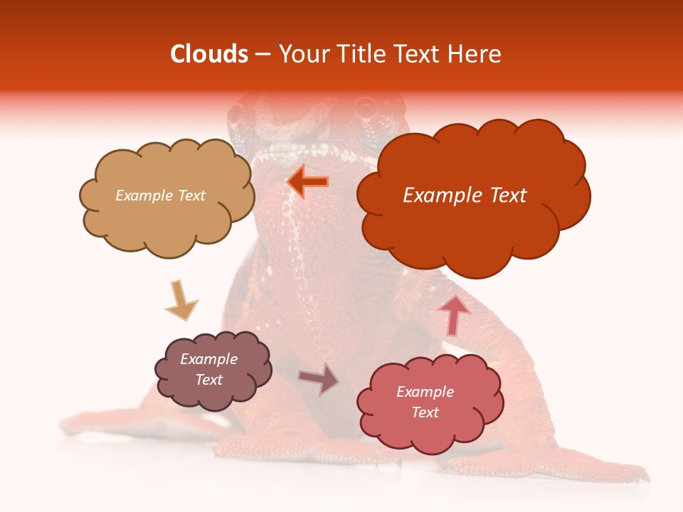 Endangered Chameleon Furcifer Pardalis Gazing PowerPoint Template