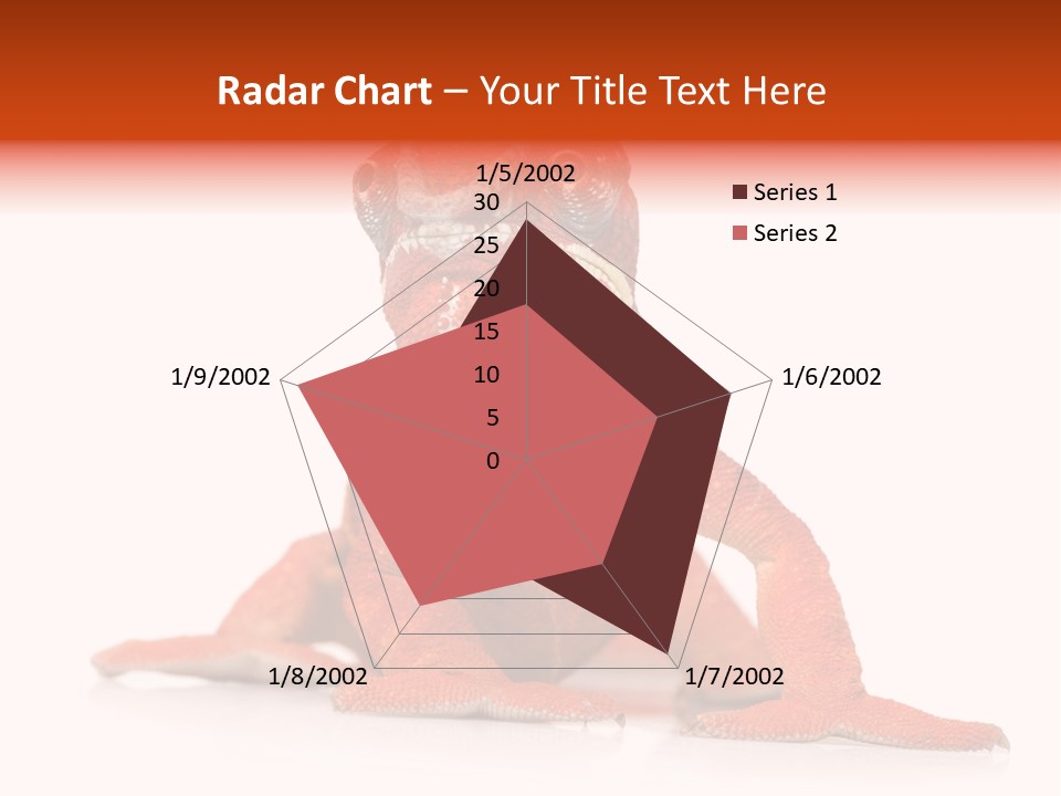 Endangered Chameleon Furcifer Pardalis Gazing PowerPoint Template