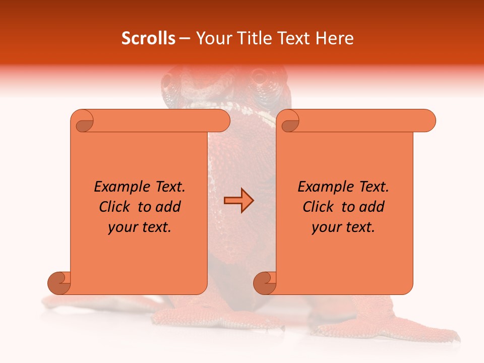 Endangered Chameleon Furcifer Pardalis Gazing PowerPoint Template