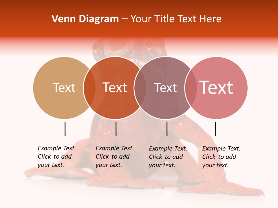 Endangered Chameleon Furcifer Pardalis Gazing PowerPoint Template