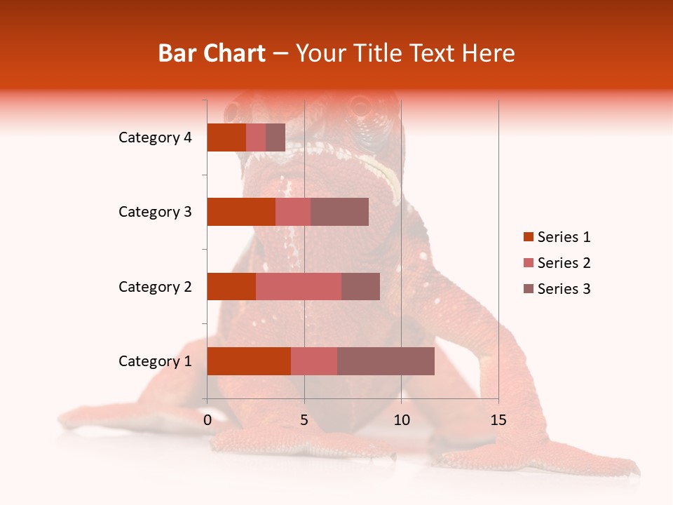 Endangered Chameleon Furcifer Pardalis Gazing PowerPoint Template