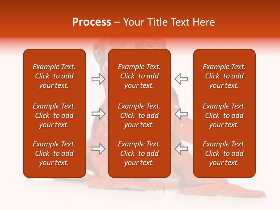 Endangered Chameleon Furcifer Pardalis Gazing PowerPoint Template