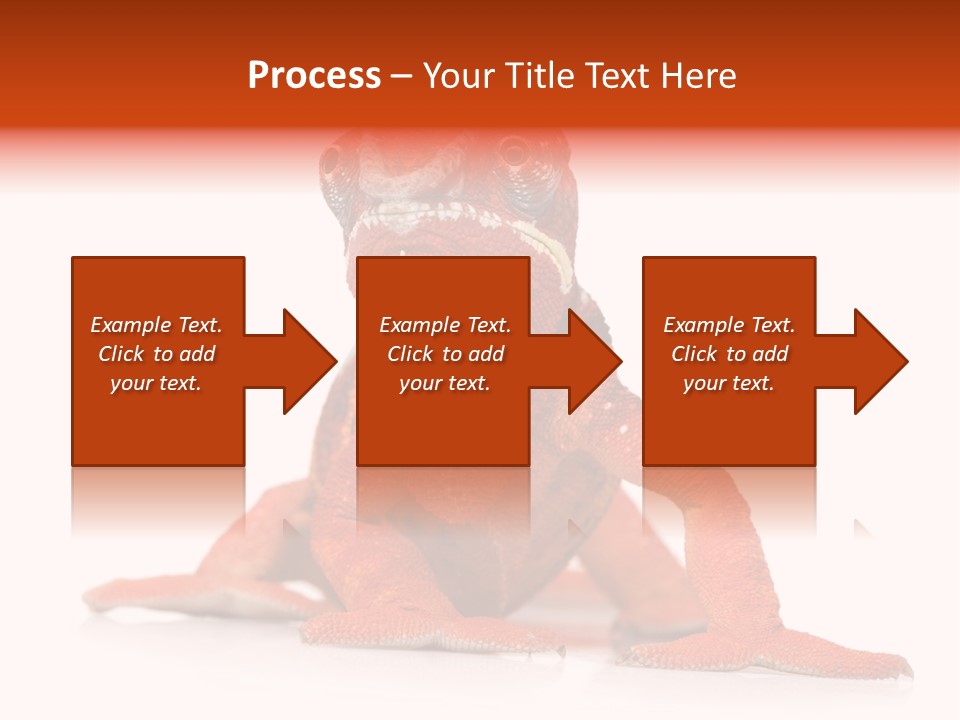 Endangered Chameleon Furcifer Pardalis Gazing PowerPoint Template