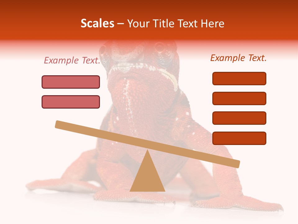 Endangered Chameleon Furcifer Pardalis Gazing PowerPoint Template