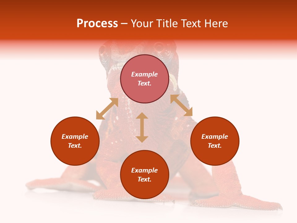 Endangered Chameleon Furcifer Pardalis Gazing PowerPoint Template