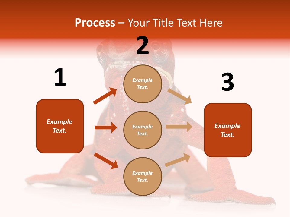 Endangered Chameleon Furcifer Pardalis Gazing PowerPoint Template