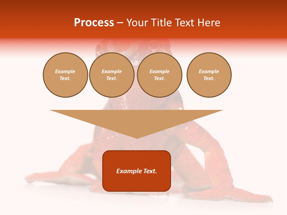 Endangered Chameleon Furcifer Pardalis Gazing PowerPoint Template